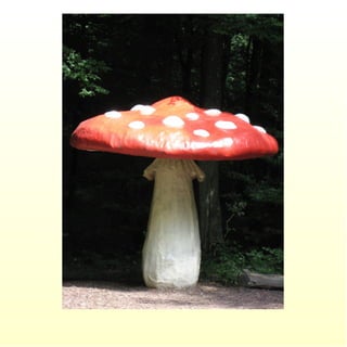 Le parc merveilleux de bettembourg