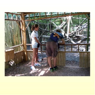 Le parc merveilleux de bettembourg