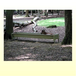 Le parc merveilleux de bettembourg