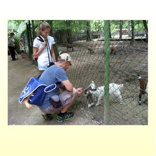 Le parc merveilleux de bettembourg