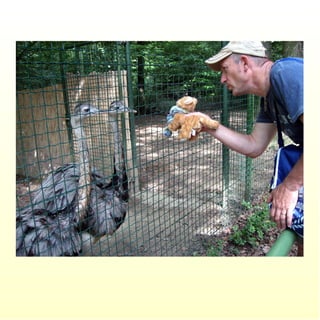 Le parc merveilleux de bettembourg