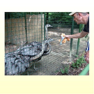 Le parc merveilleux de bettembourg