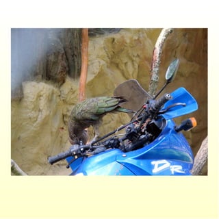 Le parc merveilleux de bettembourg