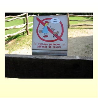 Le parc merveilleux de bettembourg