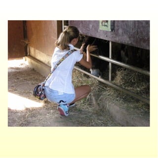 Le parc merveilleux de bettembourg