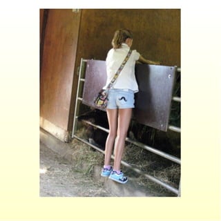 Le parc merveilleux de bettembourg