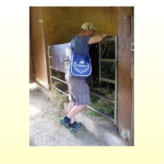 Le parc merveilleux de bettembourg