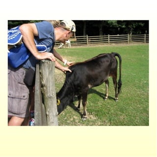 Le parc merveilleux de bettembourg