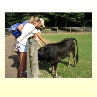 Le parc merveilleux de bettembourg