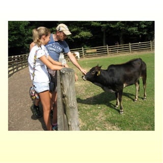 Le parc merveilleux de bettembourg