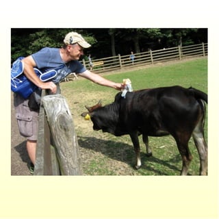 Le parc merveilleux de bettembourg