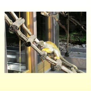 Le parc merveilleux de bettembourg