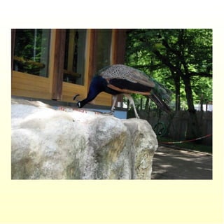 Le parc merveilleux de bettembourg