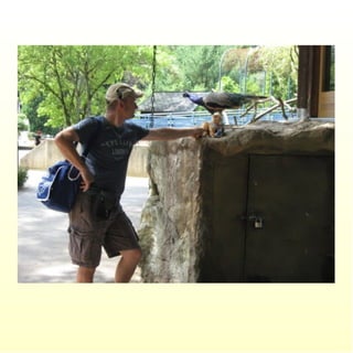 Le parc merveilleux de bettembourg