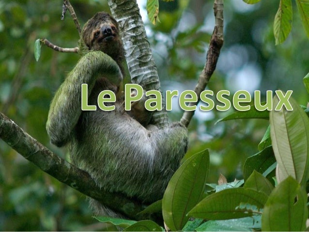 rencontre en ligne pour adolescent rencontre en ligne pour adolescent