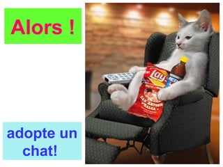 adopte un
chat!
Alors !
 
