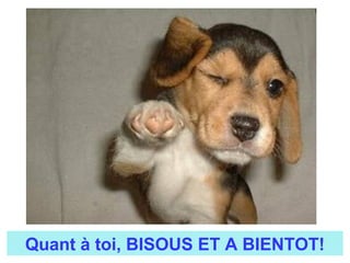 Quant à toi, BISOUS ET A BIENTOT!
 