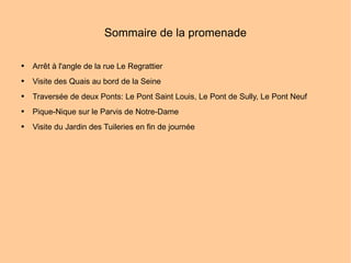 Sommaire de la promenade Arrêt à l'angle de la rue Le Regrattier  Visite des Quais au bord de la Seine  Traversée de deux Ponts: Le Pont Saint Louis, Le Pont de Sully, Le Pont Neuf Pique-Nique sur le Parvis de Notre-Dame Visite du Jardin des Tuileries en fin de journée 