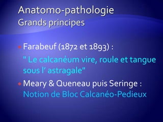  Farabeuf (1872 et 1893) :
" Le calcanéum vire, roule et tangue
sous l’ astragale"
 Meary & Queneau puis Seringe :
Notion de Bloc Calcanéo-Pedieux
 