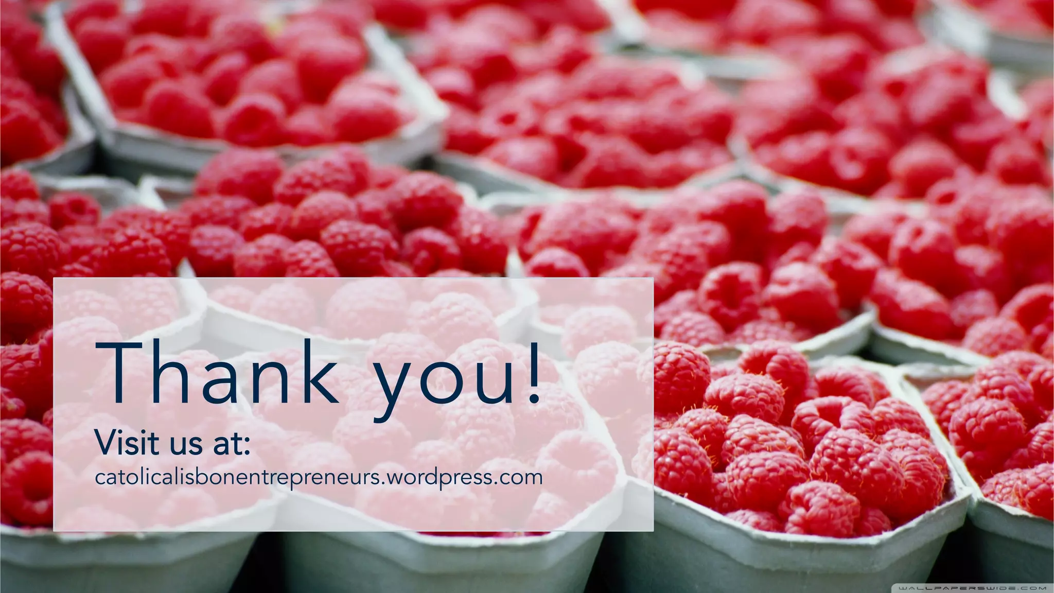 Thank you!
Visit us at:
catolicalisbonentrepreneurs.wordpress.com
 