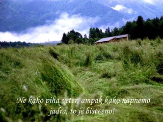 Ne kako piha veter, ampak kako napnemo jadra, to je bistveno!   