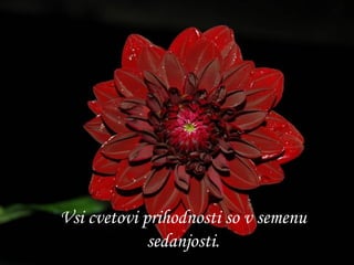 Vsi cvetovi prihodnosti so v semenu sedanjosti. 