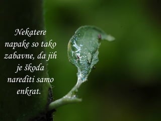 Nekatere napake so tako zabavne, da jih je škoda narediti samo enkrat.   