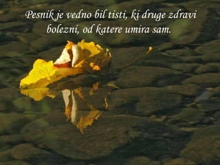 Pesnik je vedno bil tisti, ki druge zdravi bolezni, od katere umira sam.   