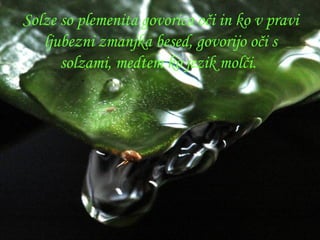 Solze so plemenita govorica oči in ko v pravi ljubezni zmanjka besed, govorijo oči s solzami, medtem ko jezik molči.   
