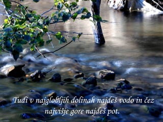 Tudi v najglobljih dolinah najdeš vodo in čez najvišje gore najdeš pot.   