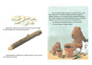 Maintenant, Castor sort de l’eau les haricots qui ont trempé.
Ils sont presque deux fois plus gros qu’avant !
Il prend ensuite un bâton qu’il a taillé en pointe, et sur le quel il
a fait une petite marque.
Avec son bâton, Castor fait des trous dans la terre ; trois
dans chaque pot. Il enfonce le bâton exactement jusqu’à la
marque. Comme ça, les trous sont tous de la même profondeur.
Petit Castor dispose ensuite délicatement un haricot au fond de
chaque trou. Puis il bouche le trou avec un peu de terre.
— Il reste encore quelques haricots, dit Petit Castor.
— Je m’en occupe, lui répond Castor.
 
