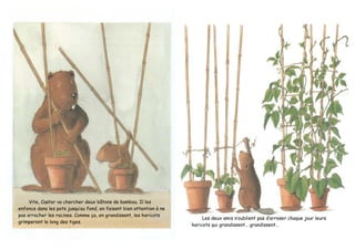 Vite, Castor va chercher deux bâtons de bambou. Il les
enfonce dans les pots jusqu’au fond, en faisant bien attention à ne
pas arracher les racines. Comme ça, en grandissant, les haricots
grimperont le long des tiges.
Les deux amis n’oublient pas d’arroser chaque jour leurs
haricots qui grandissent… grandissent…
 