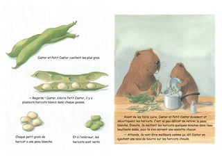 Castor et Petit Castor cueillent les plus gros.
— Regarde ! Castor, s’écrie Petit Castor, il y a
plusieurs haricots blancs dans chaque gousse.
Chaque petit grain de
haricot a une peau blanche.
Et à l’intérieur, les
haricots sont verts.
Avant de les faire cuire, Castor et Petit Castor écossent et
décortiquent les haricots. C’est un peu délicat de retirer la peau
blanche. Ensuite, ils mettent les haricots quelques minutes dans l’eau
bouillante salée, puis ils s’en servent une assiette chacun.
— Attends, ils vont être meilleurs comme ça, dit Castor en
ajoutant une noix de beurre sur les haricots chauds.
 