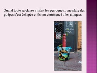 Quand toute sa classe visitait les perroquets, une plaie des
guêpes s’est échapée et ils ont commencé a les attaquer.
 