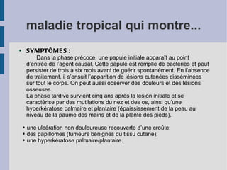 maladie tropical qui montre...
●       SYMPTÔME S :
            Dans la phase précoce, une papule initiale apparaît au point
        d’entrée de l’agent causal. Cette papule est remplie de bactéries et peut
        persister de trois à six mois avant de guérir spontanément. En l’absence
        de traitement, il s’ensuit l’apparition de lésions cutanées disséminées
        sur tout le corps. On peut aussi observer des douleurs et des lésions
        osseuses.
        La phase tardive survient cinq ans après la lésion initiale et se
        caractérise par des mutilations du nez et des os, ainsi qu’une
        hyperkératose palmaire et plantaire (épaississement de la peau au
        niveau de la paume des mains et de la plante des pieds).

    ●   une ulcération non douloureuse recouverte d’une croûte;
    ●   des papillomes (tumeurs bénignes du tissu cutané);
    ●   une hyperkératose palmaire/plantaire.
 