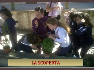 LA SCOPERTA
 