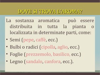 DOVE SI TROVA L’AROMA?
La sostanza aromatica           può essere
  distribuita in tutta la pianta o
  localizzata in determinate parti, come:
• Semi (pepe, caffè, ecc.)
• Bulbi o radici (cipolla, aglio, ecc.)
• Foglie (prezzemolo, basilico, ecc.)
• Legno (sandalo, canfora, ecc.).
 