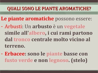 QUALI SONO LE PIANTE AROMATICHE?

Le piante aromatiche possono essere:
- Arbusti: Un arbusto è un vegetale
  simile all'albero, i cui rami partono
  dal tronco centrale molto vicino al
  terreno.
- Erbacee: sono le piante basse con
  fusto verde e non legnoso. (stelo)
 