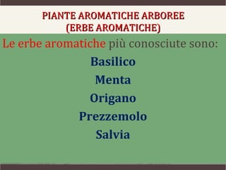 PIANTE AROMATICHE ARBOREE
           (ERBE AROMATICHE)
Le erbe aromatiche più conosciute sono:
                Basilico
                 Menta
               Origano
             Prezzemolo
                 Salvia
 