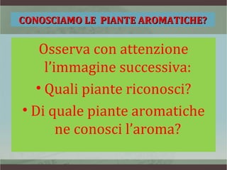 CONOSCIAMO LE PIANTE AROMATICHE?


    Osserva con attenzione
     l’immagine successiva:
   • Quali piante riconosci?
• Di quale piante aromatiche
        ne conosci l’aroma?
 