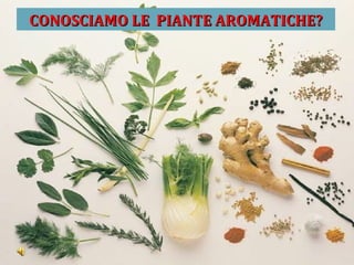 CONOSCIAMO LE PIANTE AROMATICHE?
 