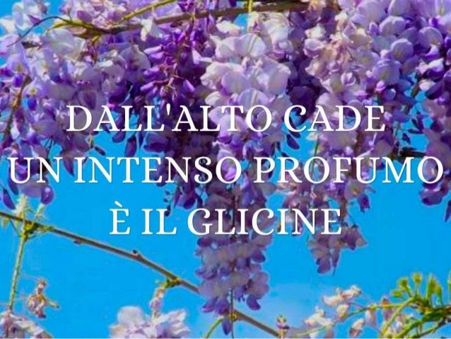 Le più belle poesie haiku della 5 c