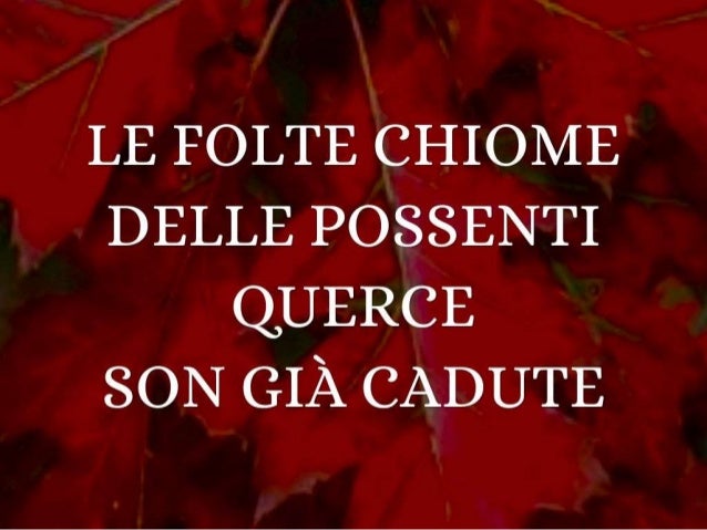 Le più belle poesie haiku della 5 c