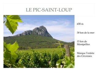 LE PIC-SAINT-LOUP

                    658 m


                    30 km de la mer


                    15 km de
                    Montpellier


                    Marque l’entrée
                    des Cévennes
 
