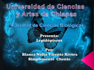 Universidad de Ciencias  y Artes de Chiapas Facultad de Ciencias Biológicas Presenta: Lepidópteros Por:  Blanca Nidia Vicente Rivera Simplemente  Chente 