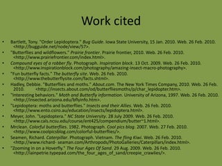 Fun FactsButterflies range in size from a tiny 1/8 inch to a huge almost 12 inchesThe top butterfly flight speed is 12 miles per hour. Some moths can fly 25 miles per hour!Butterflies cannot fly if their body temperature is less than 86 degrees