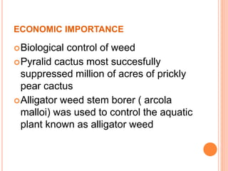 ECONOMIC IMPORTANCE
Biological control of weed
Pyralid cactus most succesfully
suppressed million of acres of prickly
pear cactus
Alligator weed stem borer ( arcola
malloi) was used to control the aquatic
plant known as alligator weed
 