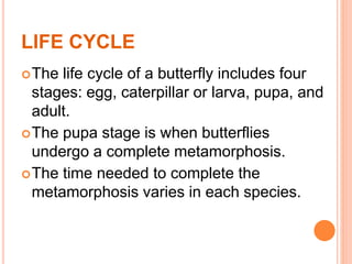 LIFE CYCLE
The life cycle of a butterfly includes four
stages: egg, caterpillar or larva, pupa, and
adult.
The pupa stage is when butterflies
undergo a complete metamorphosis.
The time needed to complete the
metamorphosis varies in each species.
 