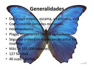 Generalidades
• Del griego «lepis», escama, y «pteron», ala).
• Comúnmente llamadas mariposas.
• Holometábolos.
• Plagas importantes para la agricultura.
• Segundo orden con más especies entre los
insectos.
• Más de 165 000 especies.
• 127 familias.
• 46 superfamilias.