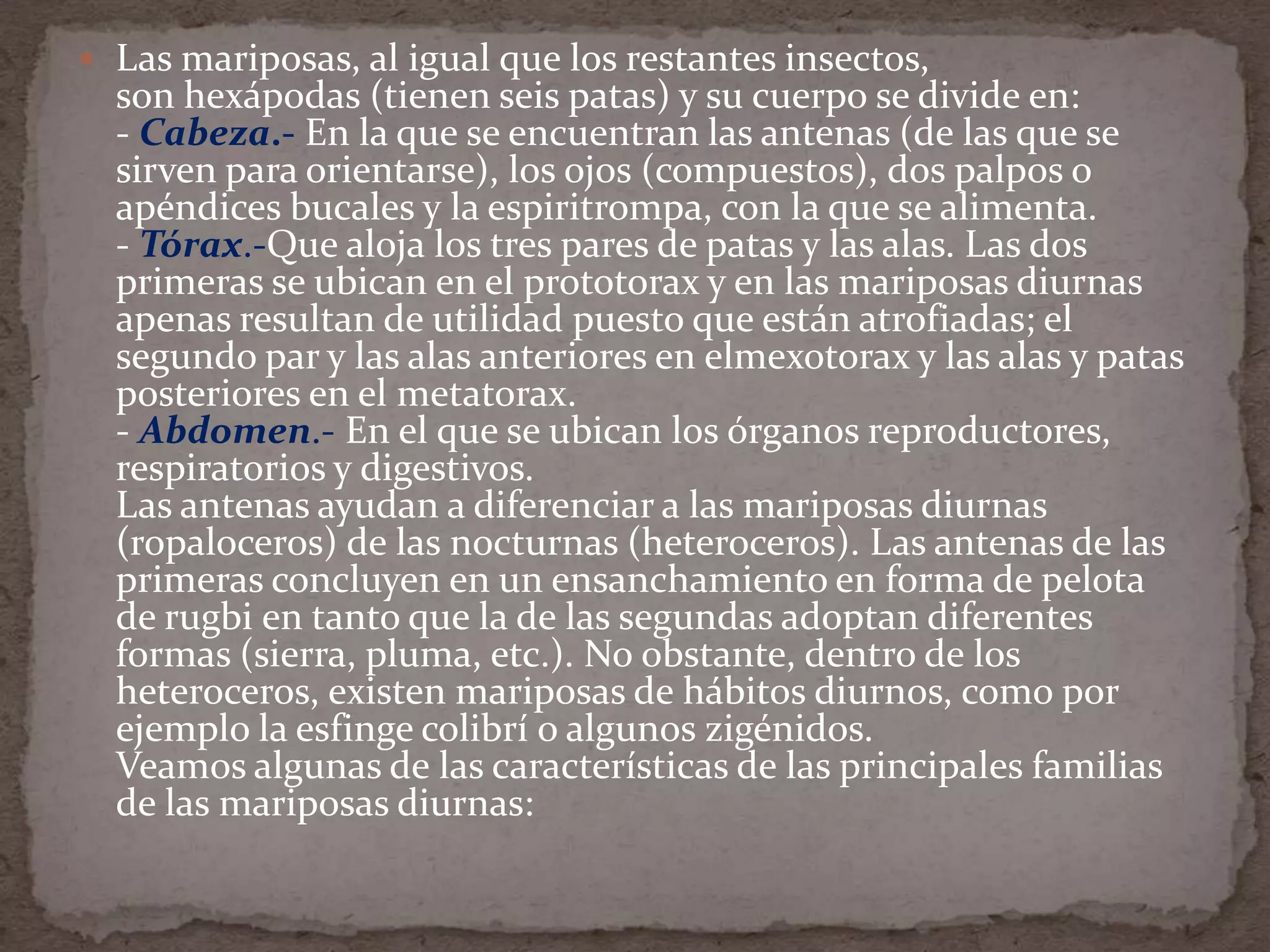  Las mariposas, al igual que los restantes insectos,
  son hexápodas (tienen seis patas) y su cuerpo se divide en:
  - Cabeza.- En la que se encuentran las antenas (de las que se
  sirven para orientarse), los ojos (compuestos), dos palpos o
  apéndices bucales y la espiritrompa, con la que se alimenta.
  - Tórax.-Que aloja los tres pares de patas y las alas. Las dos
  primeras se ubican en el prototorax y en las mariposas diurnas
  apenas resultan de utilidad puesto que están atrofiadas; el
  segundo par y las alas anteriores en elmexotorax y las alas y patas
  posteriores en el metatorax.
  - Abdomen.- En el que se ubican los órganos reproductores,
  respiratorios y digestivos.
  Las antenas ayudan a diferenciar a las mariposas diurnas
  (ropaloceros) de las nocturnas (heteroceros). Las antenas de las
  primeras concluyen en un ensanchamiento en forma de pelota
  de rugbi en tanto que la de las segundas adoptan diferentes
  formas (sierra, pluma, etc.). No obstante, dentro de los
  heteroceros, existen mariposas de hábitos diurnos, como por
  ejemplo la esfinge colibrí o algunos zigénidos.
  Veamos algunas de las características de las principales familias
  de las mariposas diurnas:
 